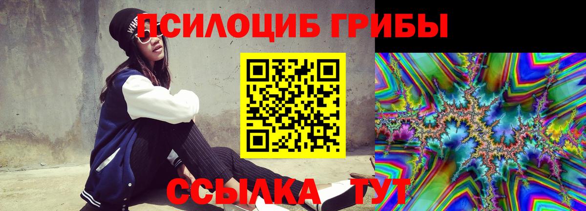 Галлюциногенные грибы прущие грибы Владикавказ