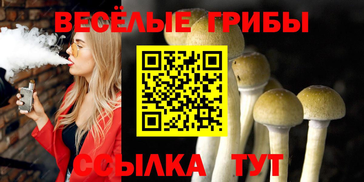Галлюциногенные грибы Cubensis  Вход с VPN  Владикавказ 